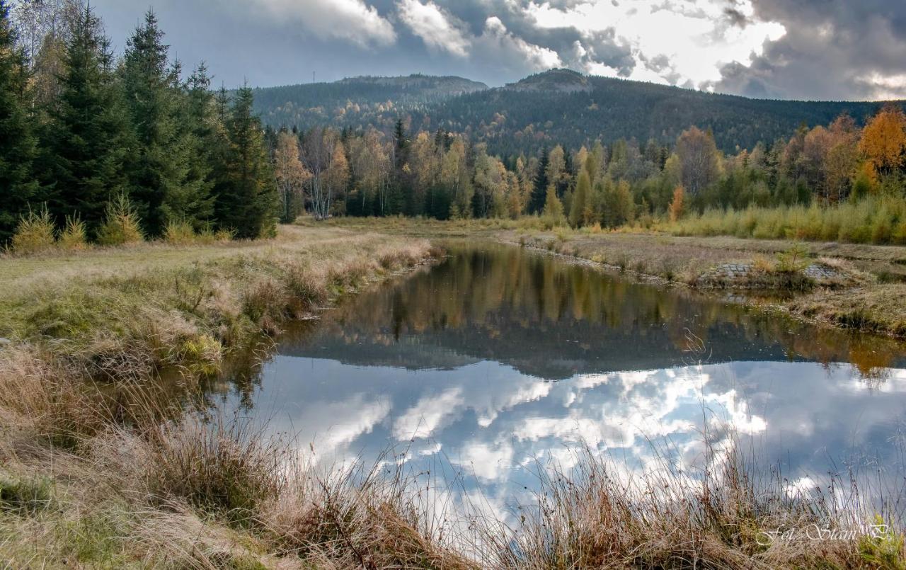 Szewska Pasja Agroturystyka Wiejska Lesna  Exterior photo