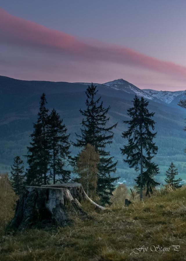 Szewska Pasja Agroturystyka Wiejska Lesna  Exterior photo