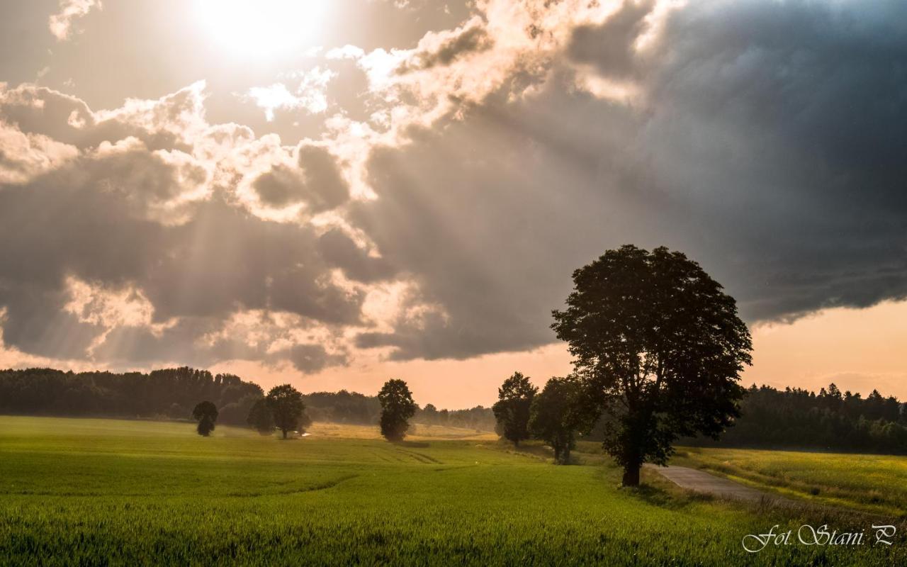 Szewska Pasja Agroturystyka Wiejska Lesna  Exterior photo