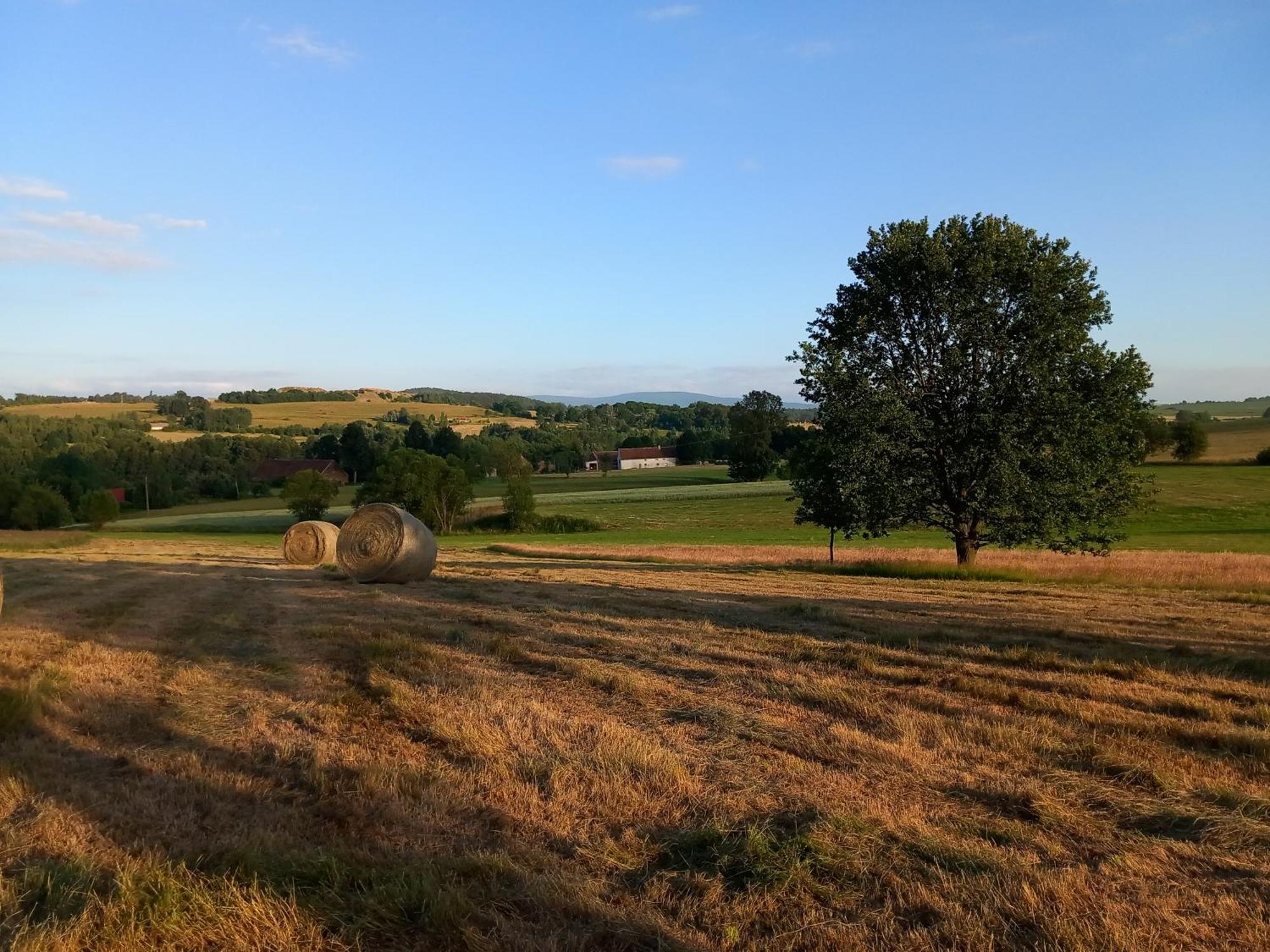 Szewska Pasja Agroturystyka Wiejska Lesna  Exterior photo