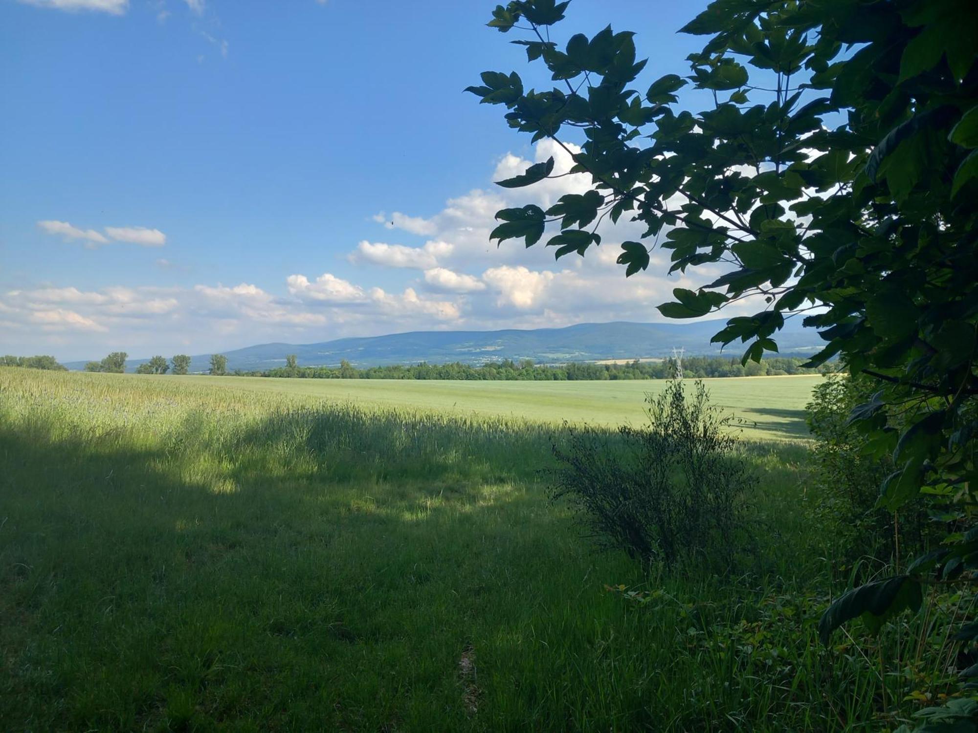 Szewska Pasja Agroturystyka Wiejska Lesna  Exterior photo